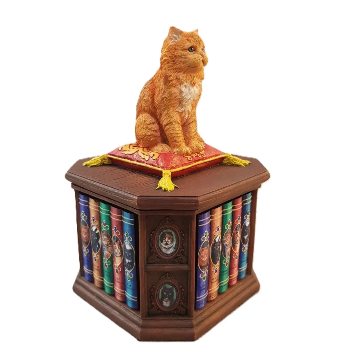 Bilgin Kedi Biblo/Kutu