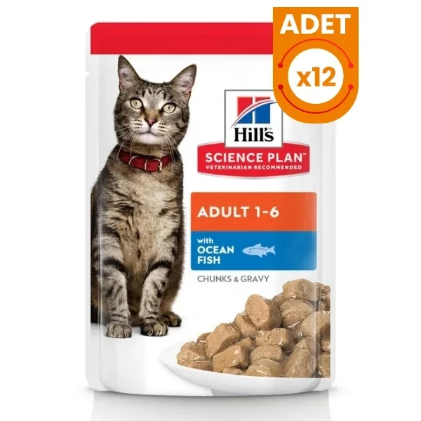 Hills Adult Okyanus Balıklı Pouch Yetişkin Konserve Kedi Maması