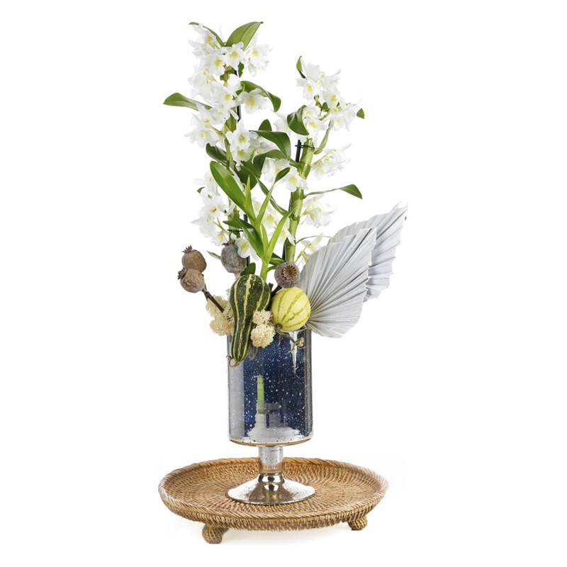 Bliss White Dendrobium Orkide