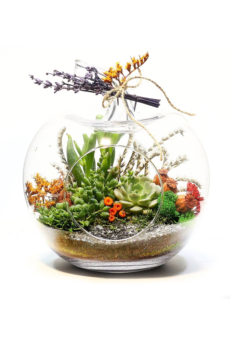 Teraryum Sukulent Bahçesi